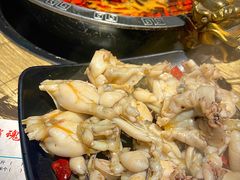 -销魂美蛙鱼头火锅(上海首店)