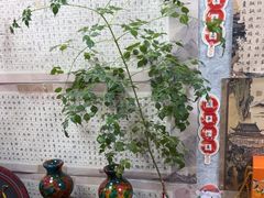 -莲香书院(丰台分校)