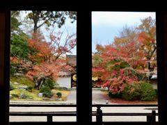-醍醐寺
