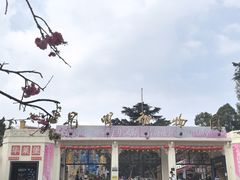 -昆明动物园