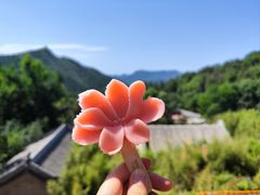 -潭柘寺景区