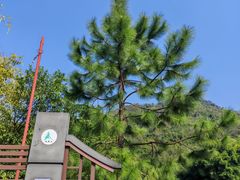 -大雁山风景区