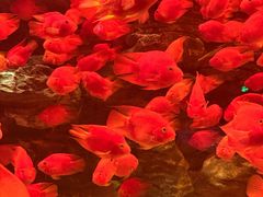 -多彩贵州城极地海洋世界