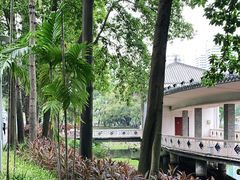 -荔湾湖公园