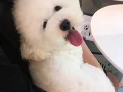 -小叮当动物医院·骨科·眼科