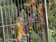 -南宫五洲植物乐园