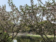 -花溪公园