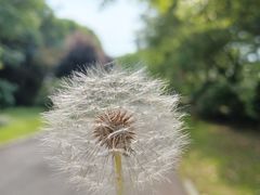 -梁鸿国家湿地公园