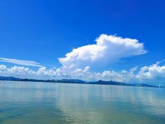 -深圳湾公园(南山区)