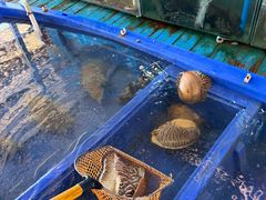 -蓝湾碧波·老字号·疍家非遗海上餐厅