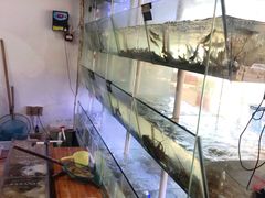 水产区-海之鲜大排档(东山海鲜金銮湾店)