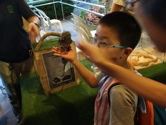 -清迈夜间动物园