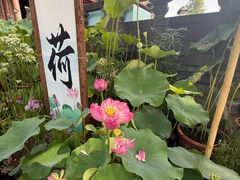 -钱王祠