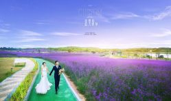 点击看大图 -青禾蒙娜丽莎婚纱摄影(武汉总店)