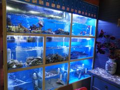 水产区-泮金大塘(北二七路店)