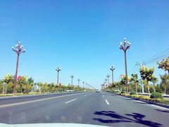 -金塔沙漠胡杨林景区