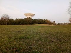-佘山世茂艾美·御珍轩中餐厅