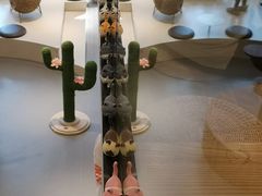 -飞行喵MR PILOT|猫舍·猫咖(静安大融城店)