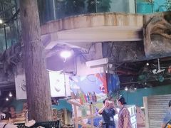 -正佳雨林生态植物园