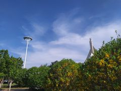 -丁香湖公园