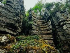 -梭布垭石林景区