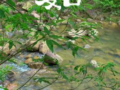 -广州白江湖森林公园