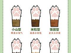 -爱侣宠医·鹦鹉专科·小型哺乳类·异宠专科(灵石路店)