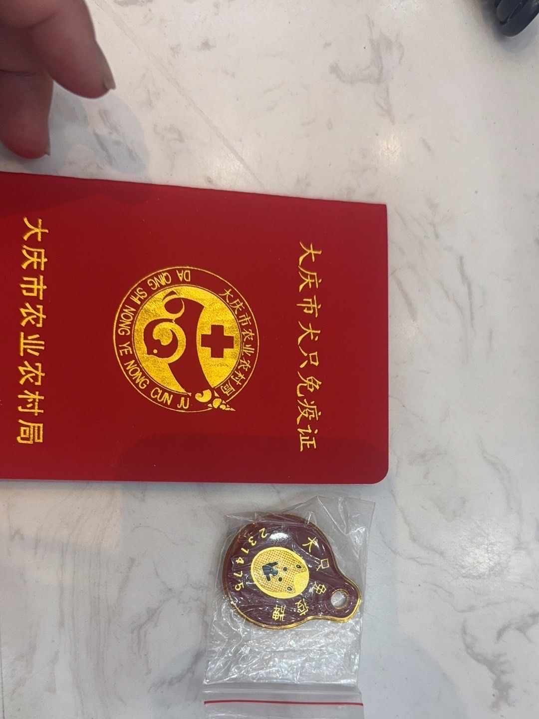 犬证