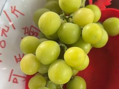 -马陆小张葡萄园农家乐