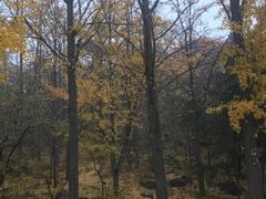 -阳台山自然风景区