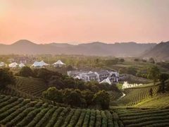 -帐篷客·溪龙茶谷度假酒店