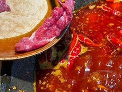 -阳阳老火锅(小南门店)