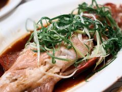 -東海薈。拉斐特(青衣城店)