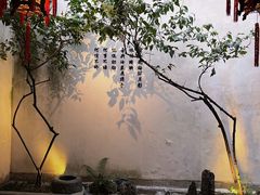 -樹下遇见树·咖啡