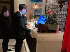 -青泰足浴·SPA养生连锁(新区店)