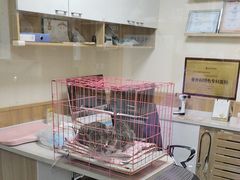 -瑞派宠物医院·24h·骨外科·皮肤科·全科宠物医疗转诊中心(沈阳浑南院)