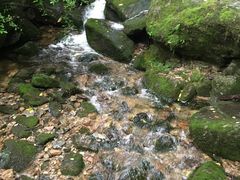 -陕西省红河谷森林公园