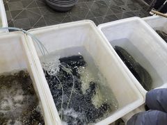 -夏家大锅台炖鱼馆