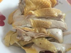 -南汇老顾农家乐采摘大团水蜜桃采摘店