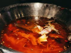 -沸腾鱼乡(知春路分店)