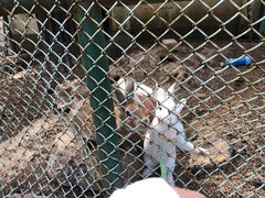 -南京外国语学校(仙林分校西区)