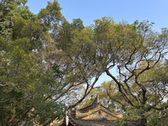 -乌山风景区