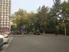 -老王豆皮