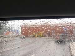 -王老六铁锅炖鱼(圣亚海洋店)