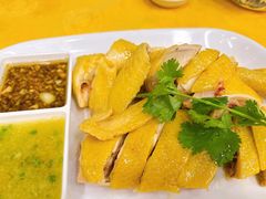 正宗白切鸡-巫记鸡饭店