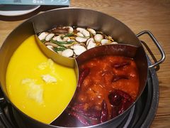 -青瓷火锅料理(西单大悦城店)
