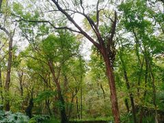 -紫霞湖公园