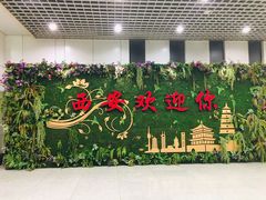 -陕西名小吃(T3航站楼一店)