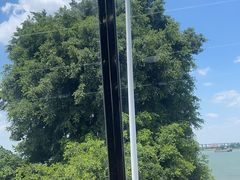 -八仔大富楼·河鲜(西江店)