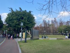 -顺峰山公园